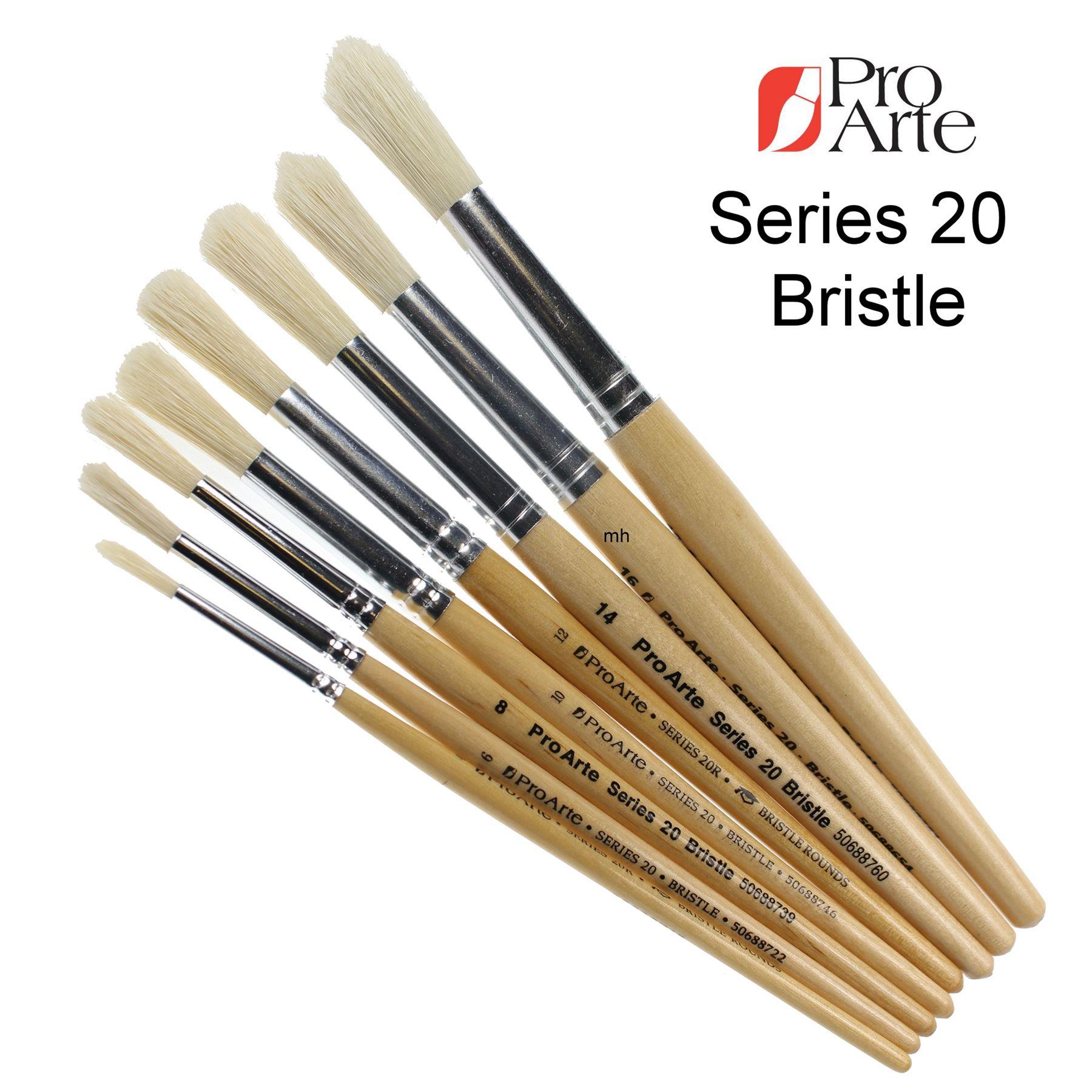 Pro Arte Series 20 Powder Colour Brushes Round 10   7D7C9EE58285586356CACECC85CCD408 